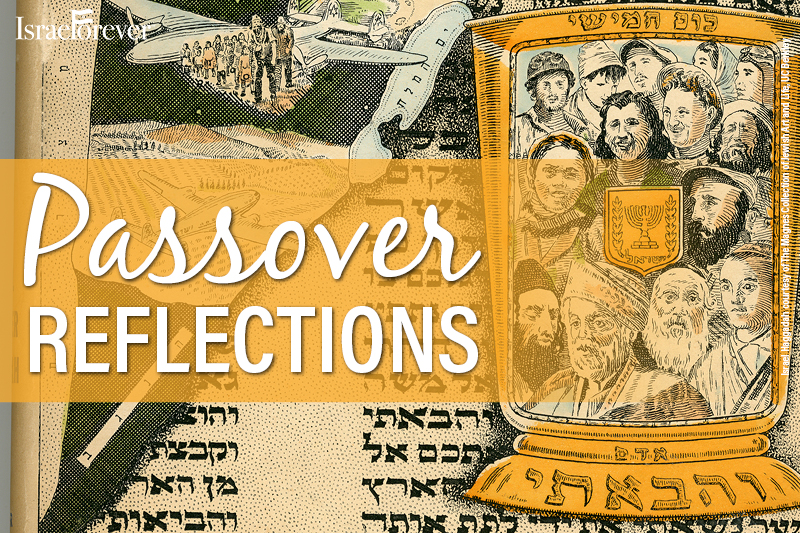 Passover Reflections on Jewish Unity - From Four to Five and Beyond