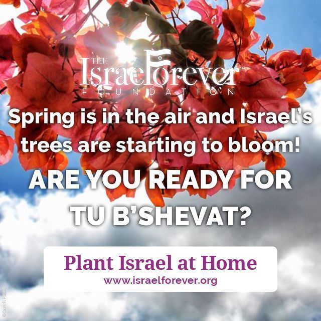 Israel Forever Foundation on X: Wishing you an early shabbat shalom and  chag sameach from Israel Forever. We hope you have an incredible seder,  with lots of fun and meaning. What special