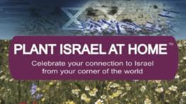 Cultivate Your Israel Connection and Plant Israel At Home™