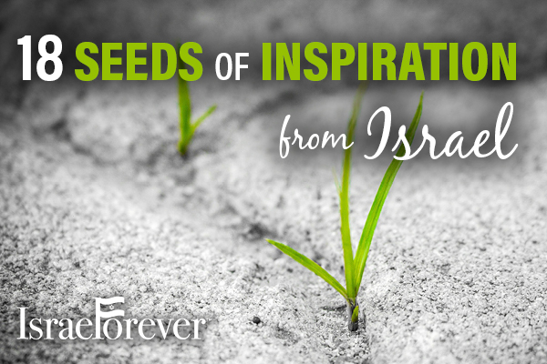 18 Seeds of Inspiration from Israel