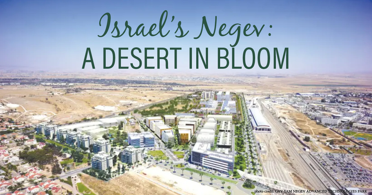 israel-s-negev-a-desert-in-bloom-the-israel-forever-foundation