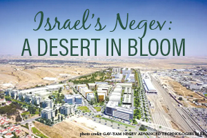Israel's Negev: A Desert in Bloom