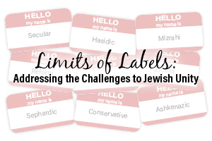 Limits of Labels: Addressing the Challenges to Jewish Unity