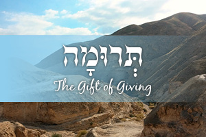 The Gift of Giving | Parashat Terumah
