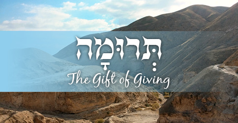 The Gift of Giving | Parashat Terumah: The Israel Forever Foundation