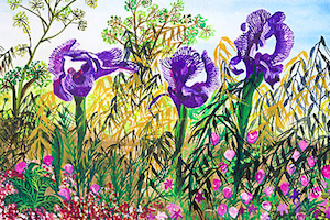 The Gilboa Iris Blooms for Readers