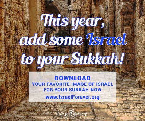 Add Some Israel To Your Sukkah