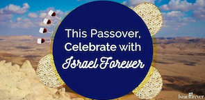 Israel At Your Seder: Celebrating Our Journey to Freedom
