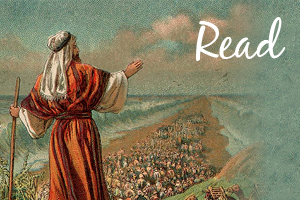 Passover Readings