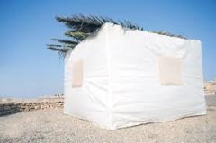 Sukkot in Israel: Did You Know...