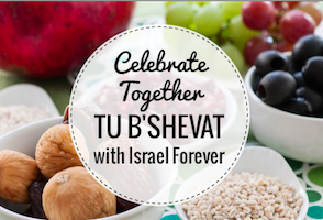 Cooking Israel For Tu B'Shevat