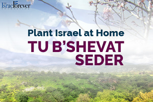 Tu B'Shevat Seder: A Celebration of Israel