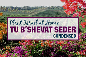 The Plant Israel at Home™ Tu B'Shevat Seder [Condensed Version]