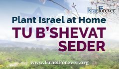 A Tu B’Shevat Seder - Emphasizing the Israel Connection
