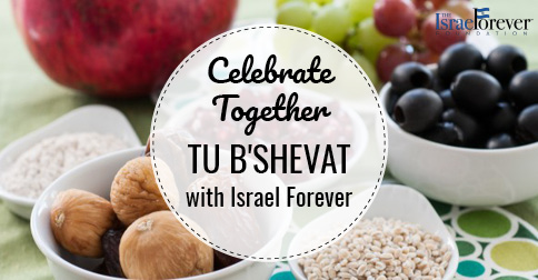 Cooking Israel For Tu B'Shevat : The Israel Forever Foundation