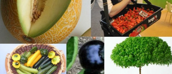 Top 12 New Fruit And Vegetable Species Developed In Israel