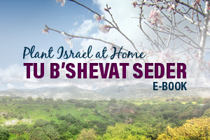 The Plant Israel at Home™ Tu B'Shevat Seder