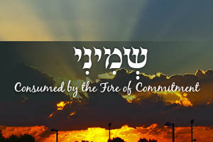 Consumed by the Fire of Commitment - Parshat Shemini