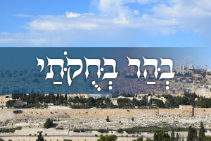The Parsha, the Process and the Promised Land: Parshat Behar-Bechukotai