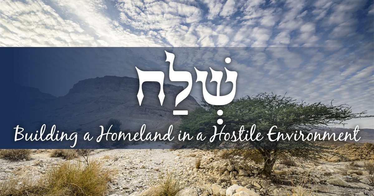 Building A Homeland In A Hostile Environment: The Israel Forever Foundation