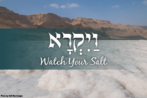 Watch Your Salt: Parashat Vayikra