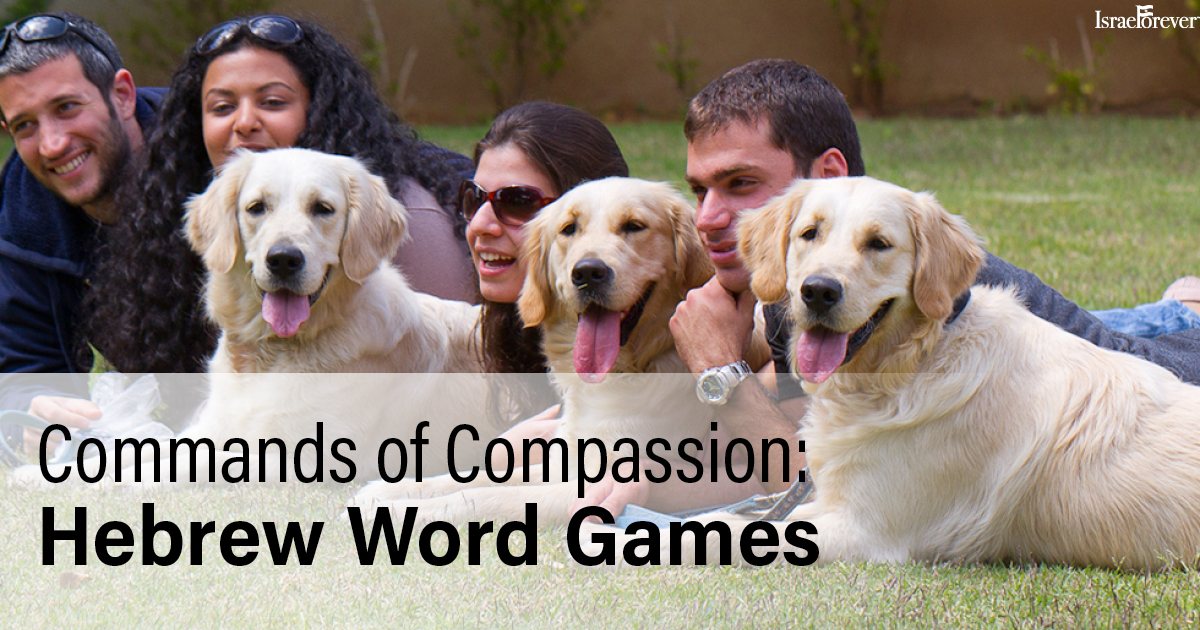 commands-of-compassion-hebrew-word-games-the-israel-forever-foundation