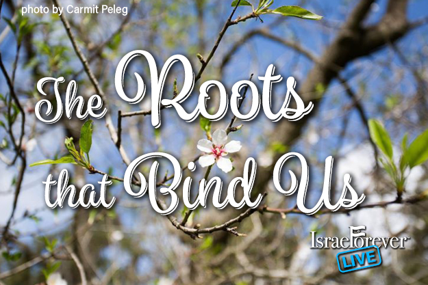 The Roots that Bind Us Webinar