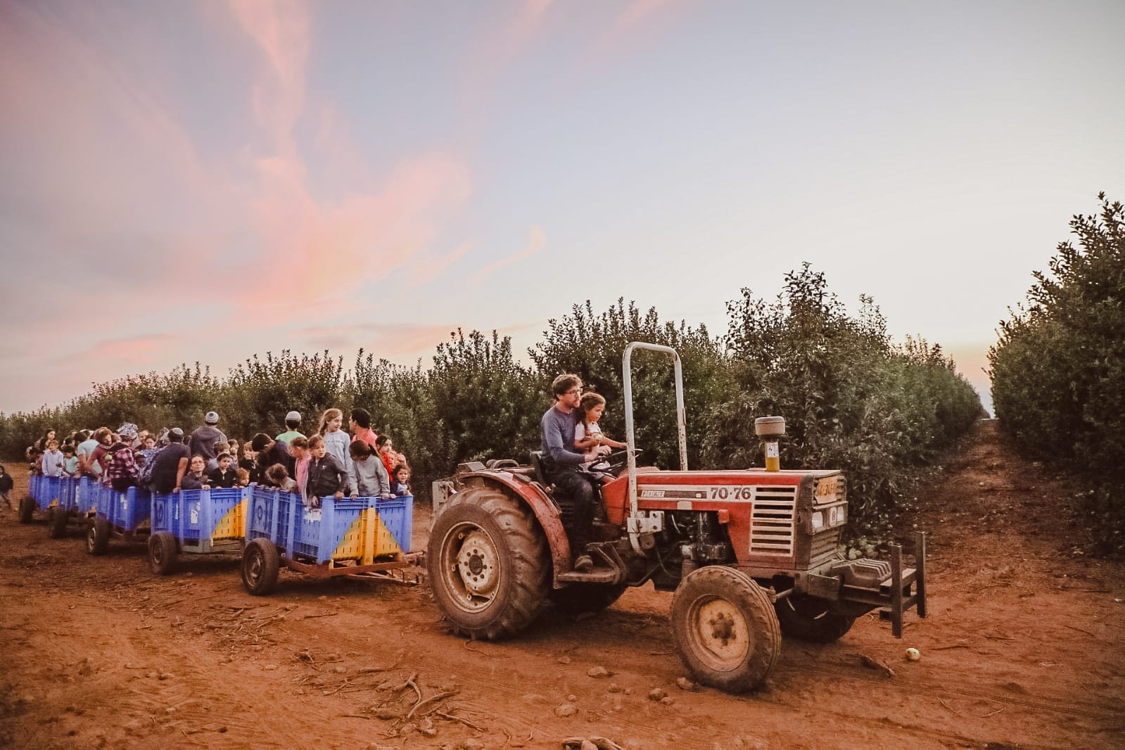 Golan Community Security Emergency Campaign