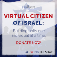 Virtual Citizen of Israel