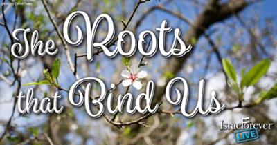 The Roots that Bind Us