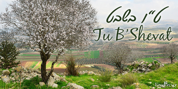 Tu B'Shevat