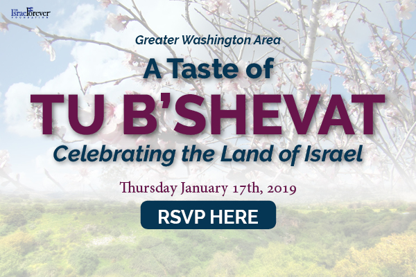 A Taste of Tu B’Shevat: Celebrating the Land of Israel (Greater Washington Area)