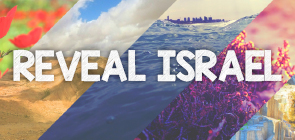 Reveal Israel