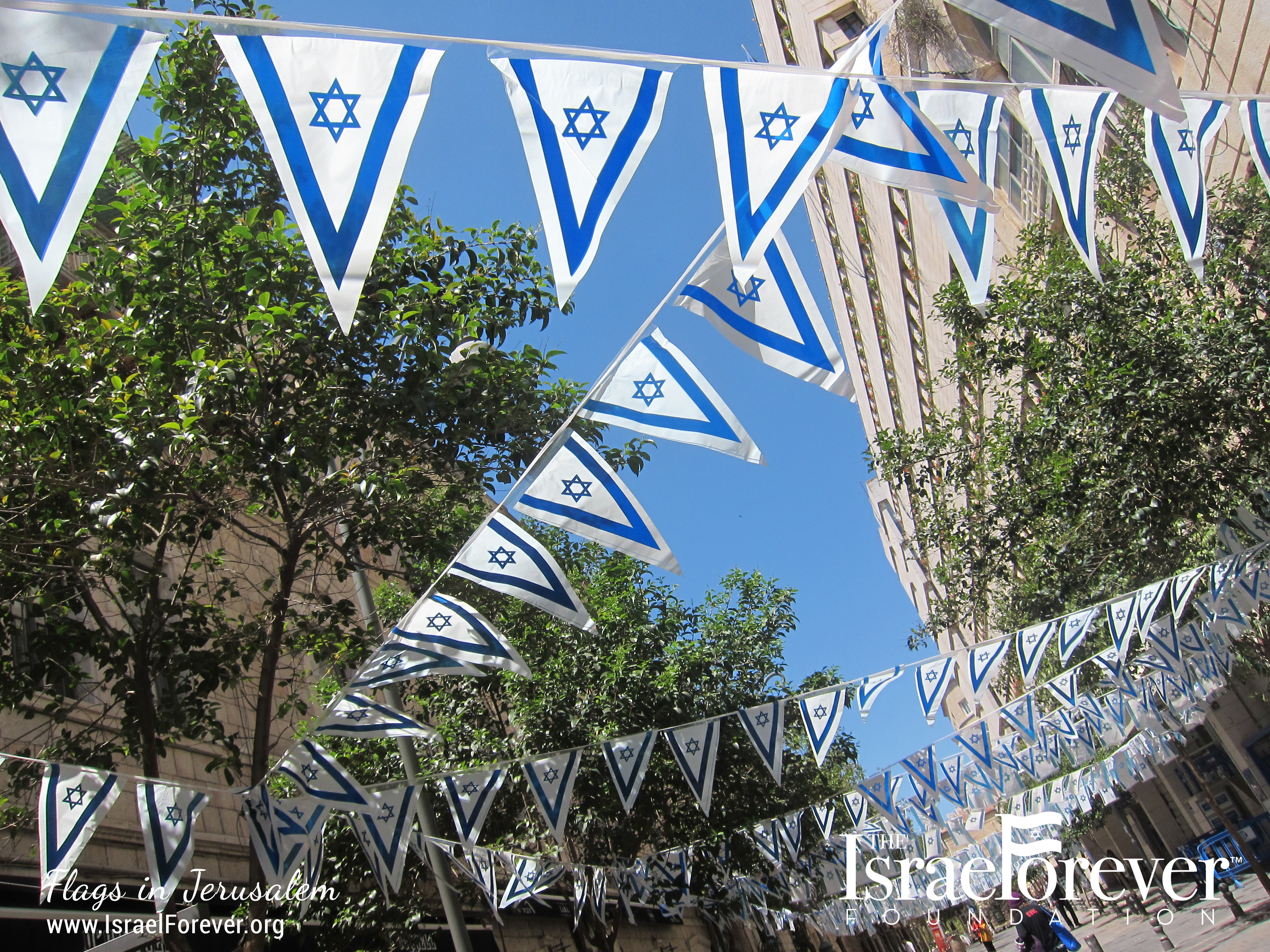 Add Some Israel To Your Sukkah