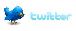 Twitter bird