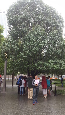 Yaacov Morgenstern Survivor Tree
