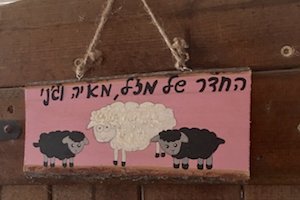 Freedom Farm Sanctuary: another way Israel is repairing the world