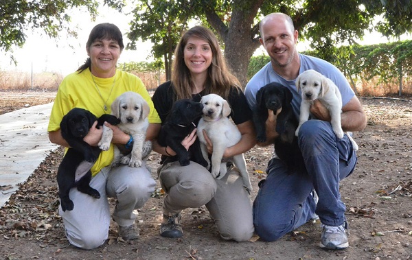 Israel Guide Dog Center for the Blind