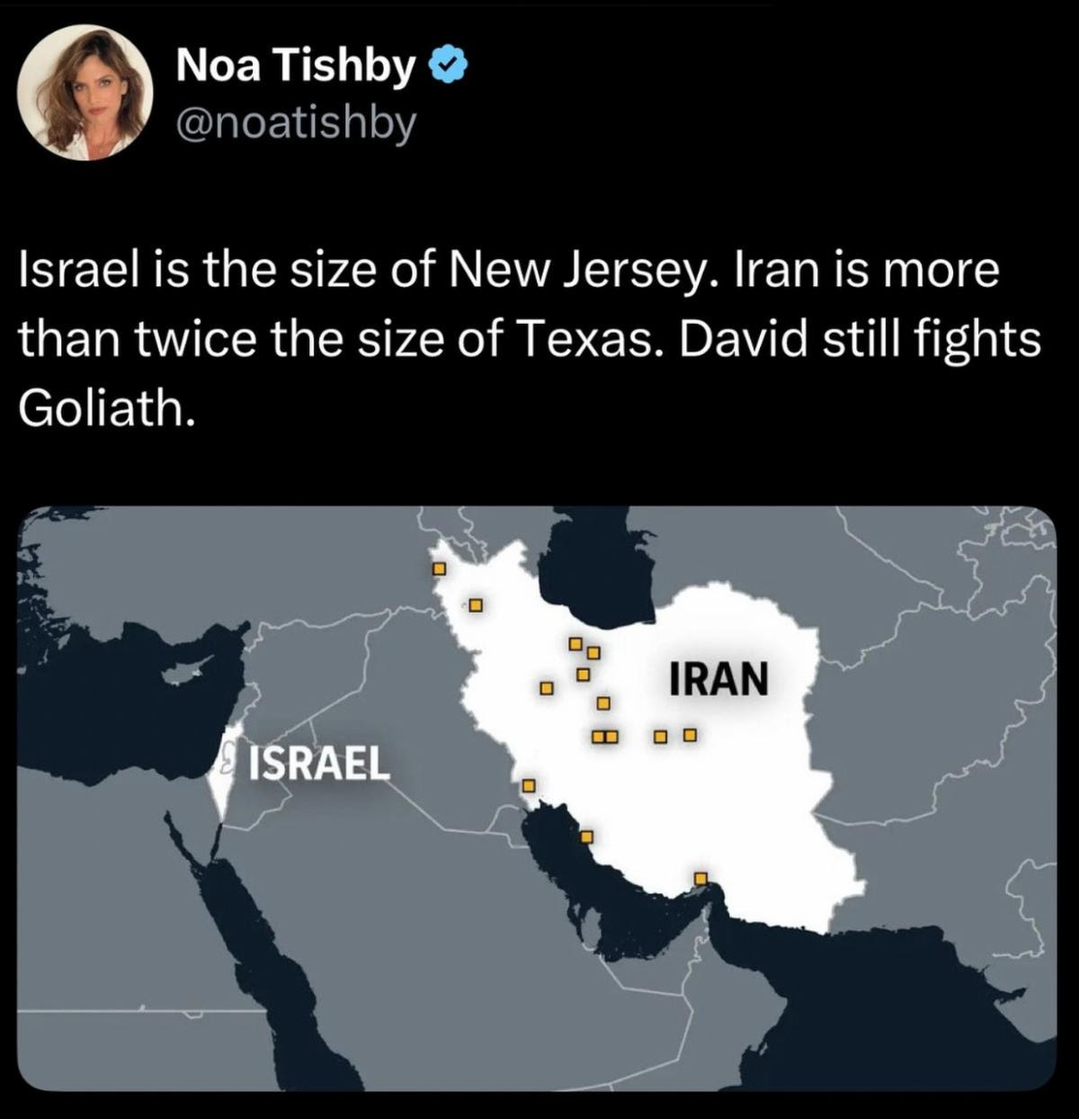 Israel is the size of New Jersey. Iran is more than twice the size of Texas. David still fights Goliath. - Noa Tishby