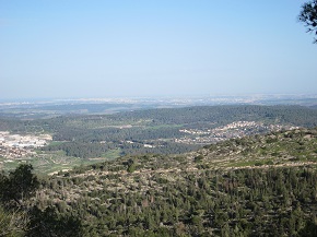 Israel After The Storm: Sunshine, Wildflowers, and History