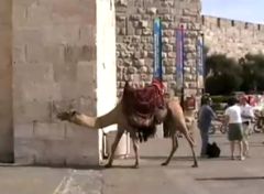 Israel During Sukkot