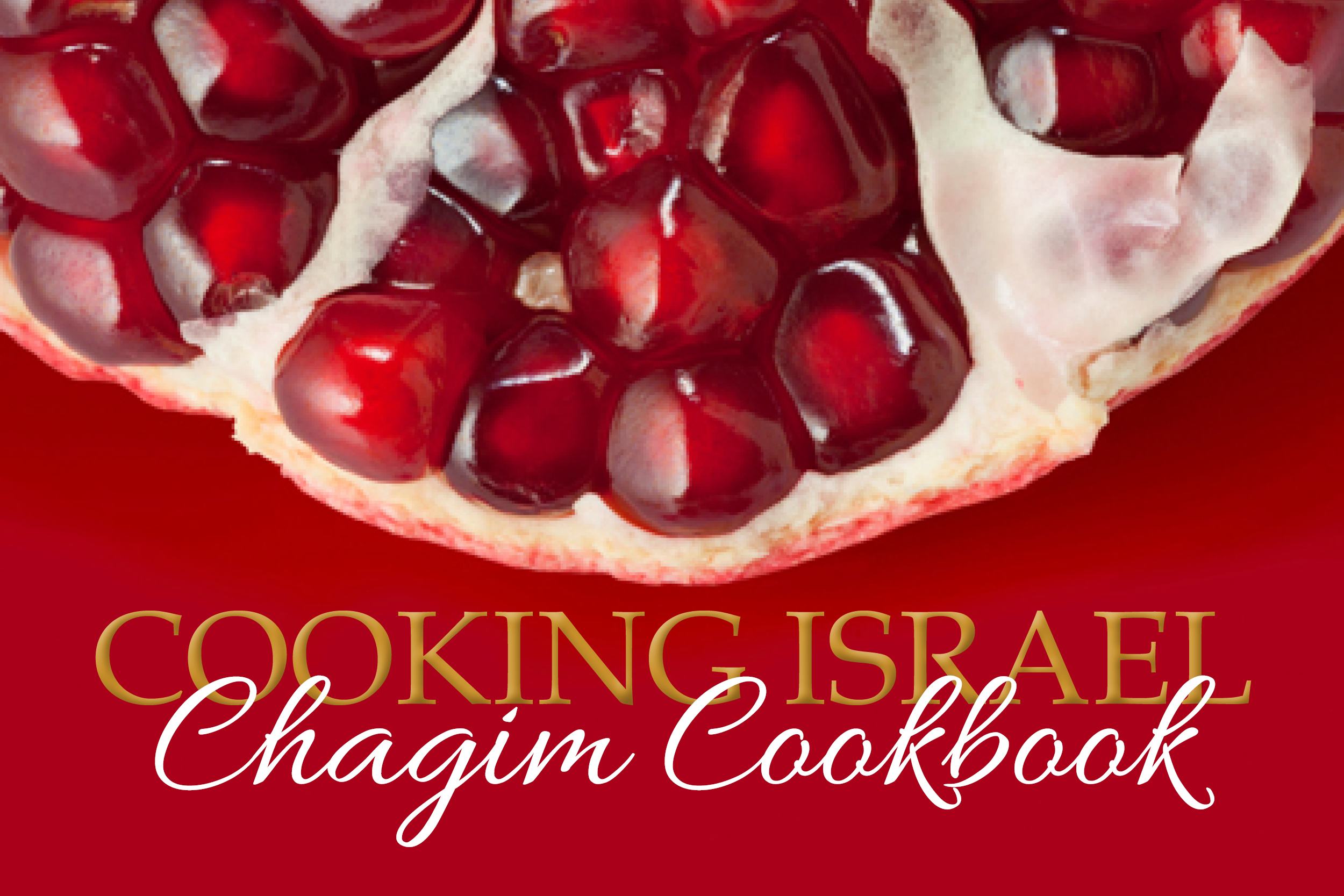 Chagim Cookbook