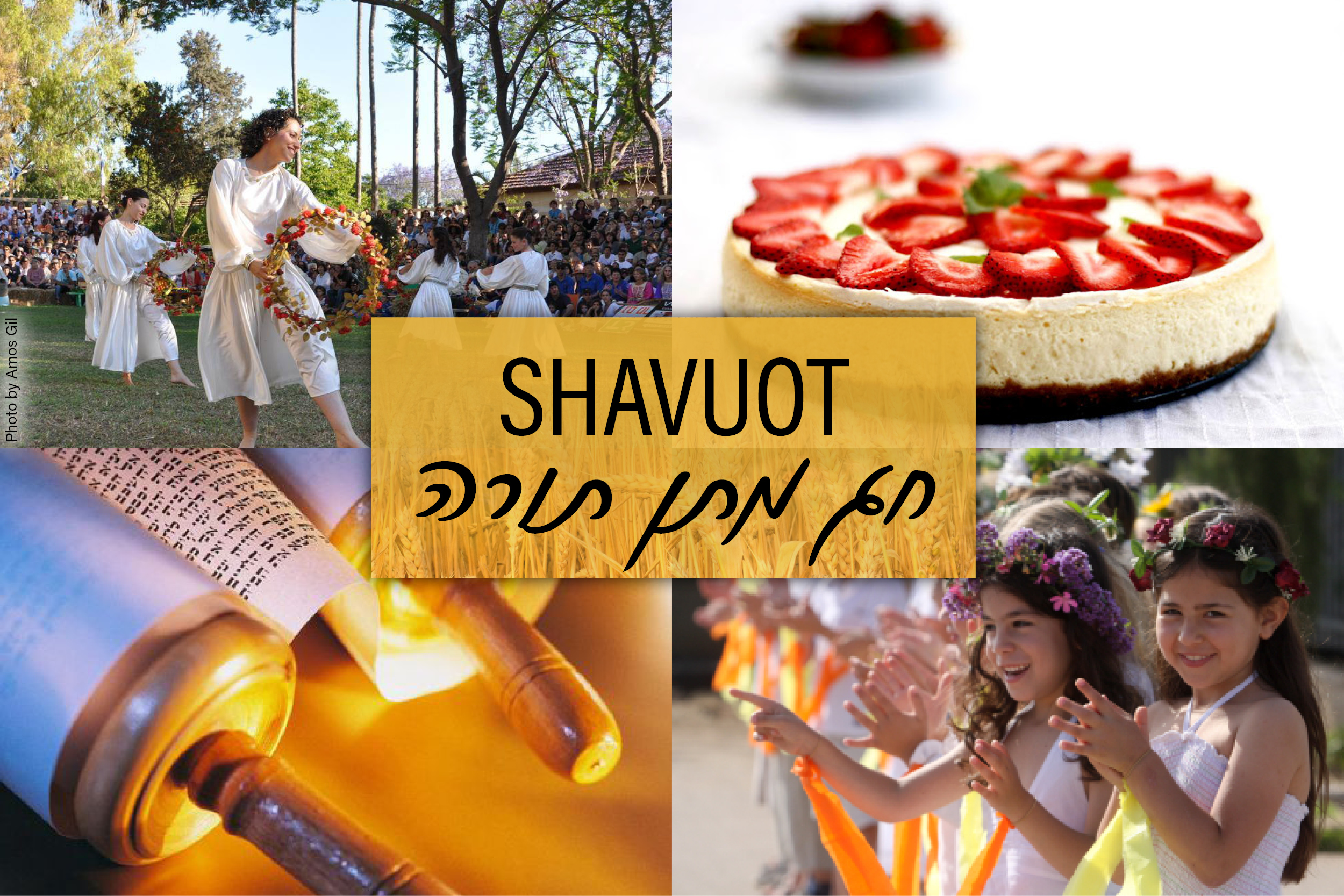 Your Israel Connection For Shavuot