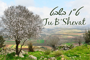 Your Israel Connection For Tu B'Shevat