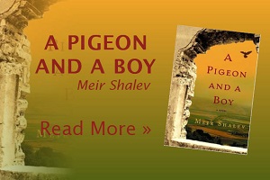 A Pigeon and A Boy