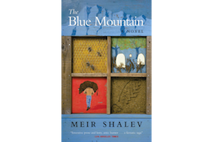 The Blue Mountain