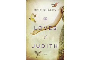The Loves of Judith: A Novel