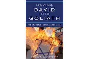 Making David into Goliath: How the World Turned Against Israel