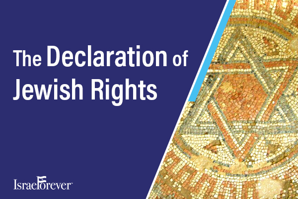 Sign the Declaration for Jewish Rights