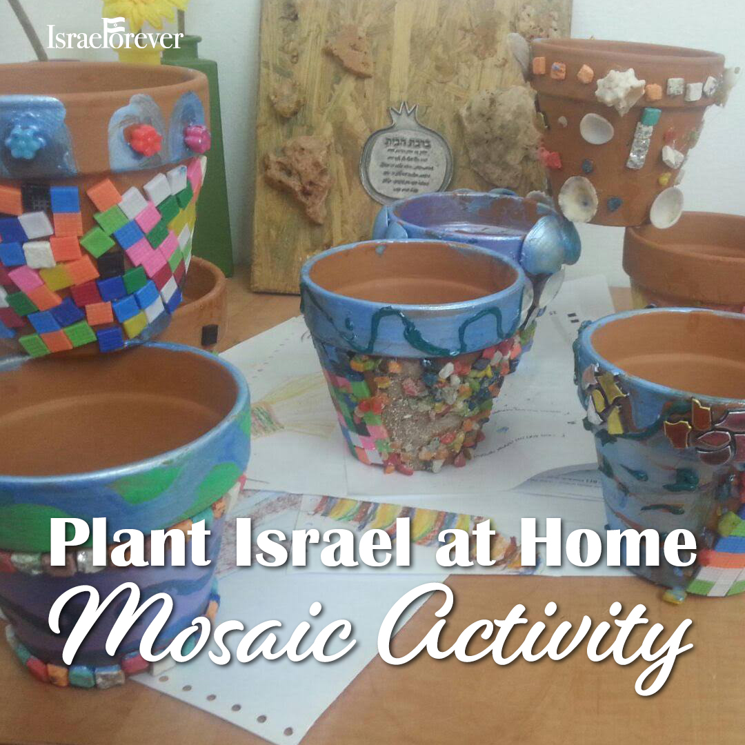 Mosaic planters for Tu B'Shevat